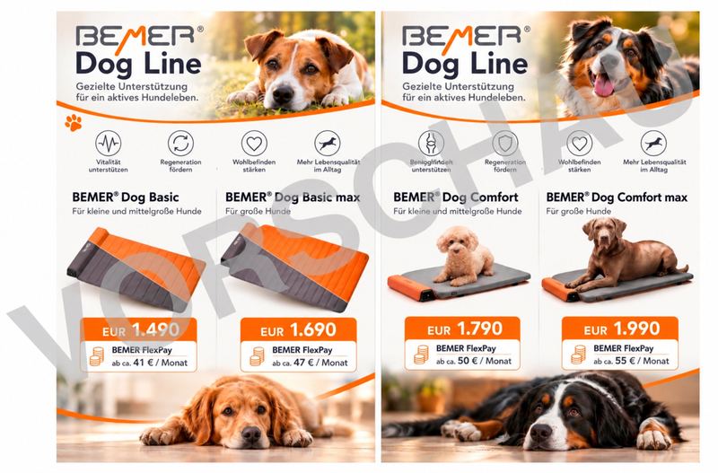 BEMER Dog Line Einleger